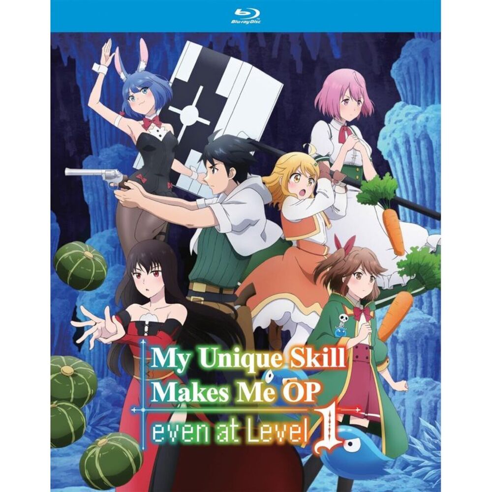 My Unique Skill Makes Me OP Even At Level 1: The Complete Season  BLU-RAY